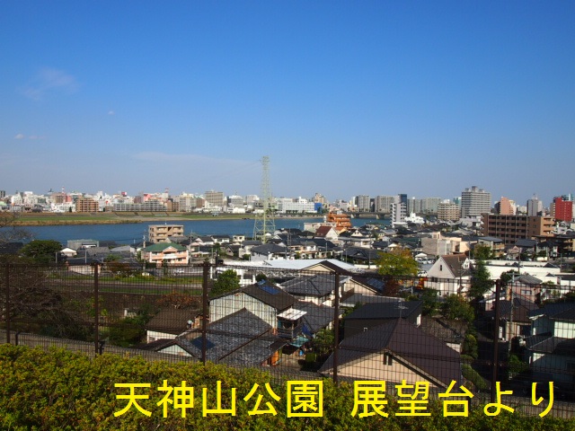 P1019210-2