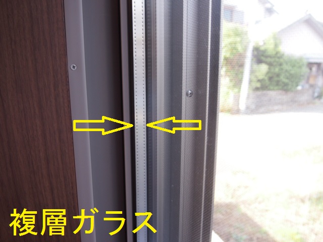 P1011375-2