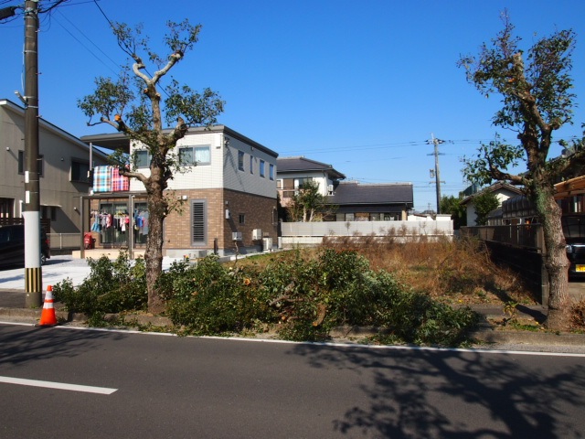 P1012556-2