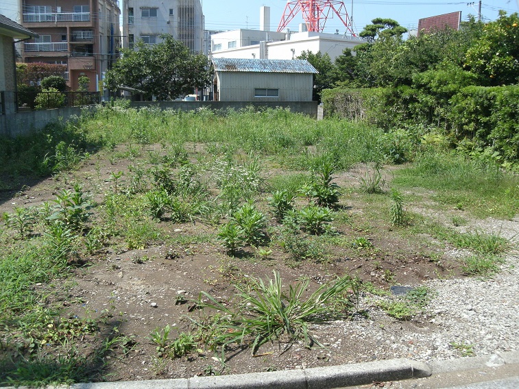 GEDC0011-2