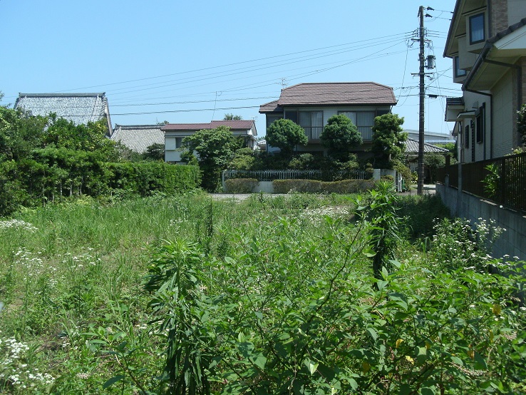 GEDC0016-2