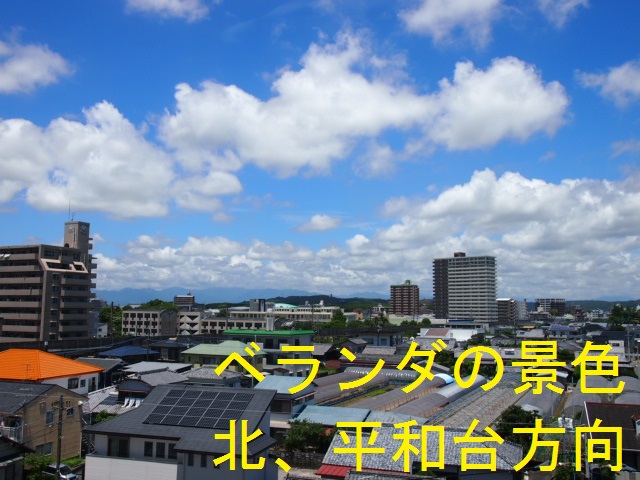 P1014856-2