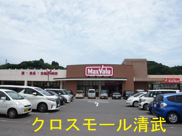 P1013032-2