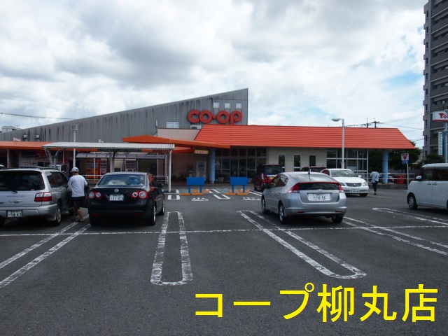 P1012112-2