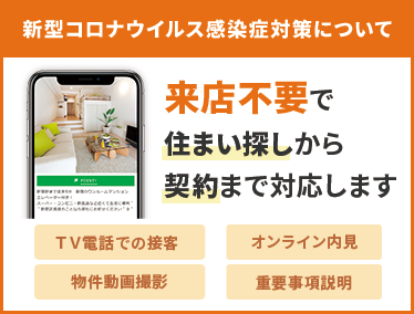 orange_01-02_sp
