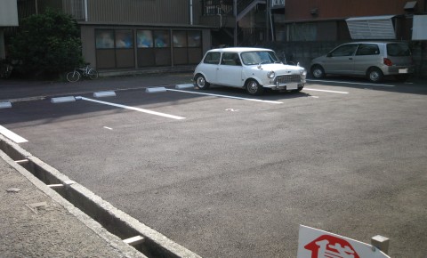 IMG_1002(hato)