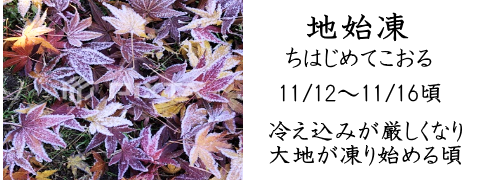 11月12日
