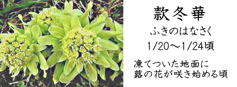 1月20日