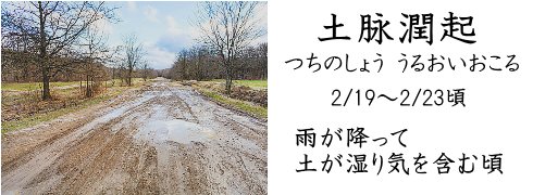 2月19日