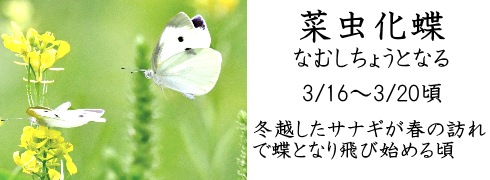 3月16日