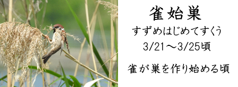 3月21ニチ