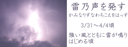 3月31日