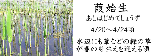 4月20日