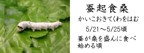 5月21日