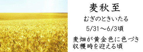 5月31日