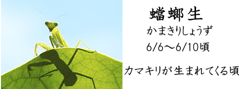 6月6日
