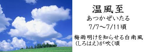 7月7日