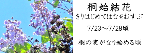 7月23日