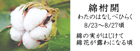 8月23日