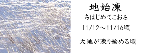 11月12日