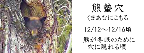 12月12日