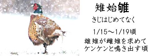 1月15日
