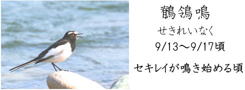 9月13日