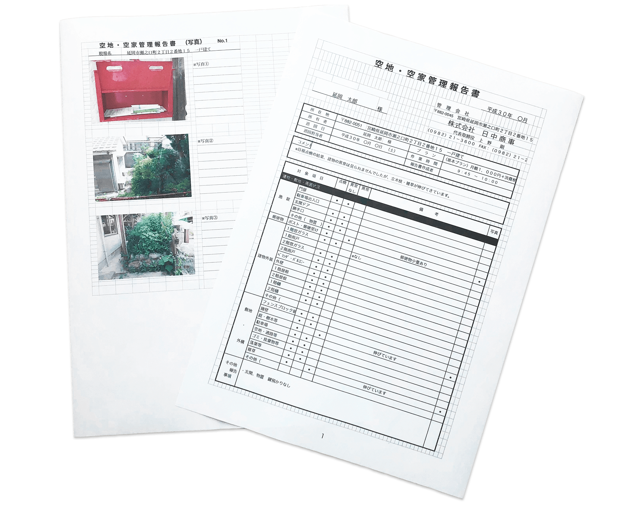 管理報告書
