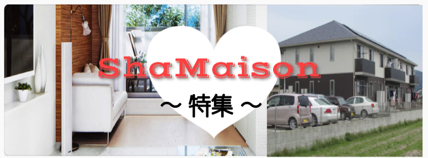 SHAMAISON特集