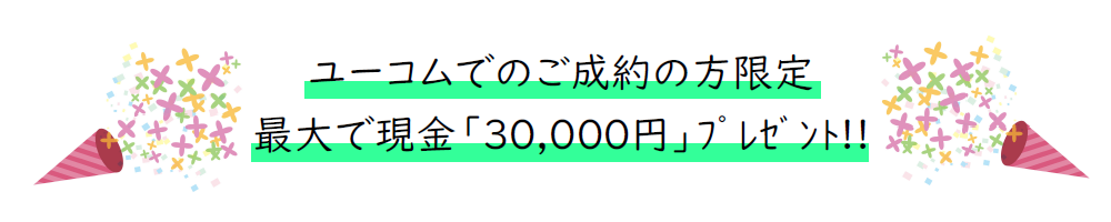 3万円 1000 完成