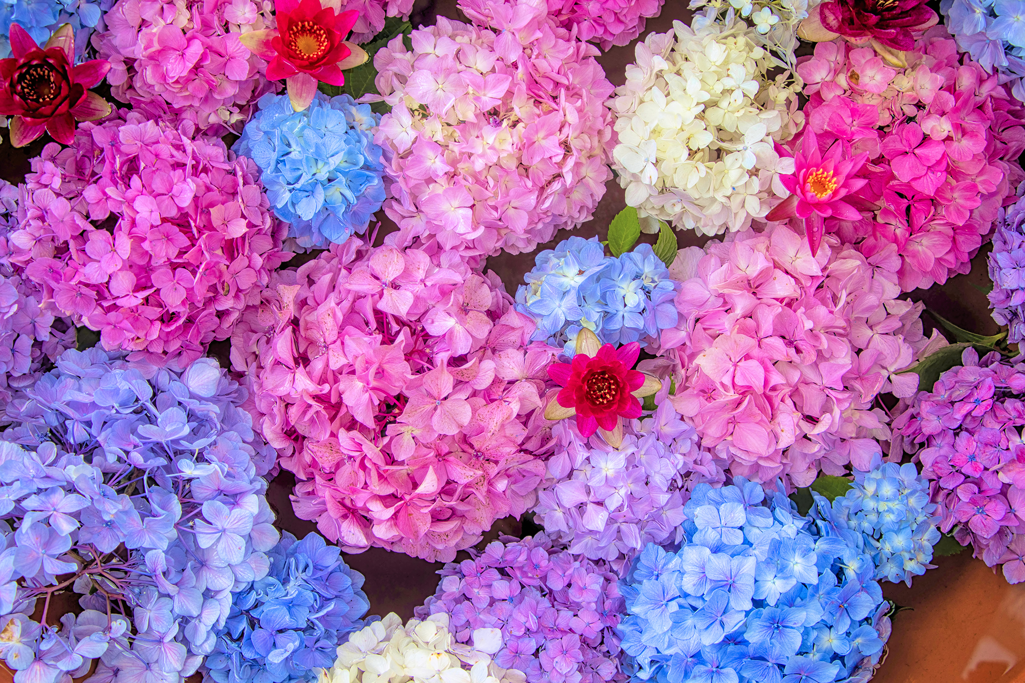 6月