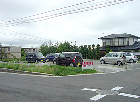 20274-turu8-p