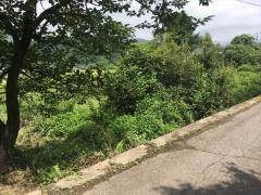 売地 写真3 由布市湯布院町中川