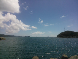 fukahori_img