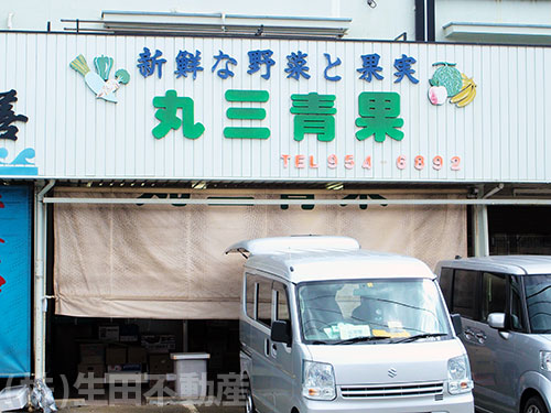 丸三青果