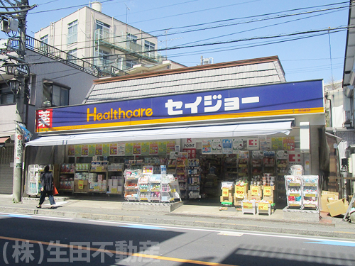ドラッグストア_くすりセイジョー 生田店