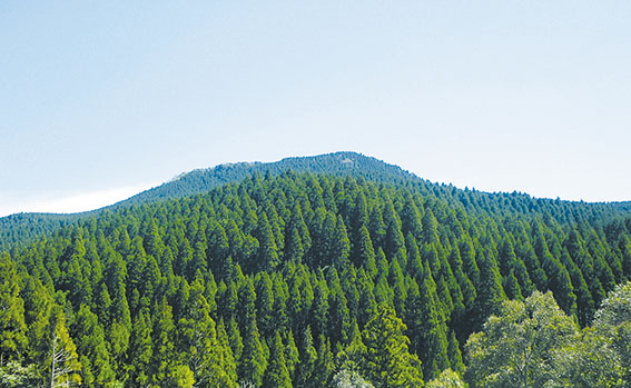 山