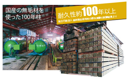 100年以上