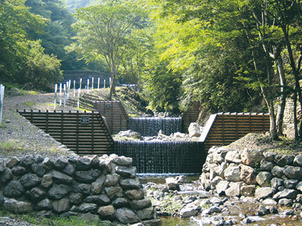 河