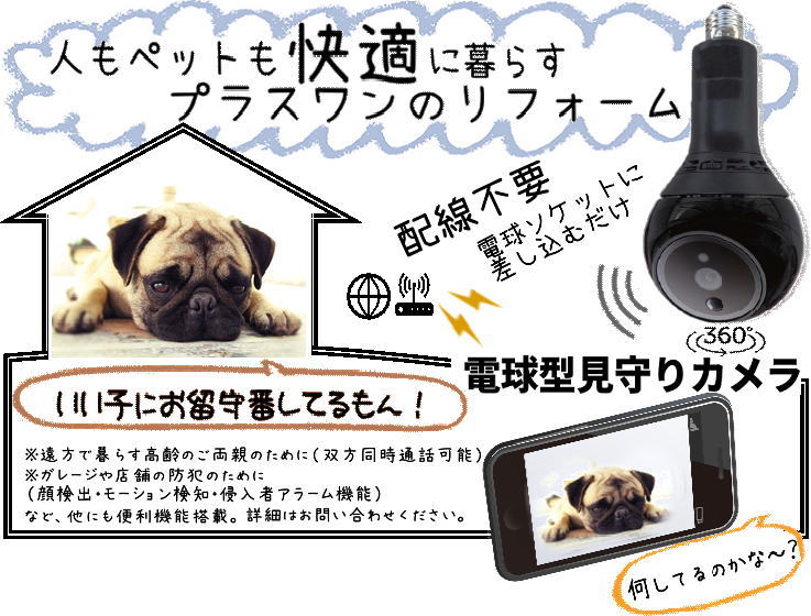 電球型カメラ イメージ