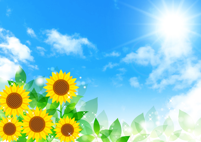夏
