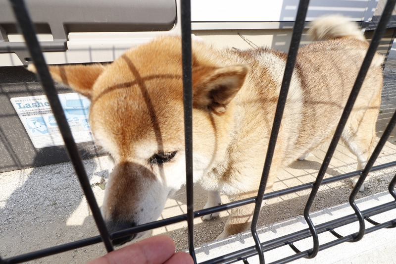 小田部1 埋設-10