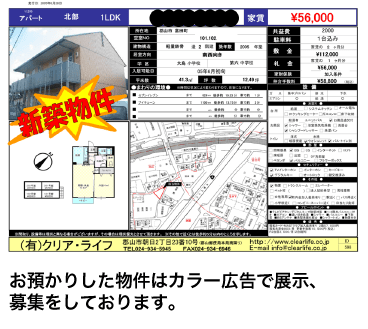 カラー広告