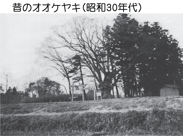 図3-2