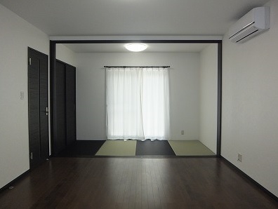 42号地③