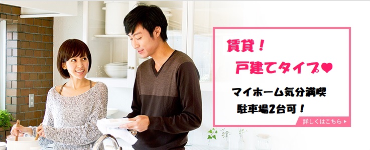 賃貸戸建てタイプ紹介