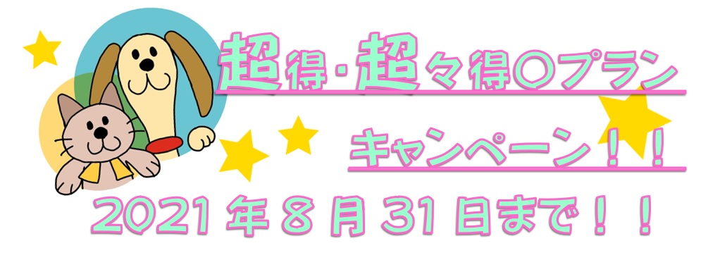 キャンペーン期限8