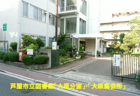 ⑤図書館大原分室・大原集会所