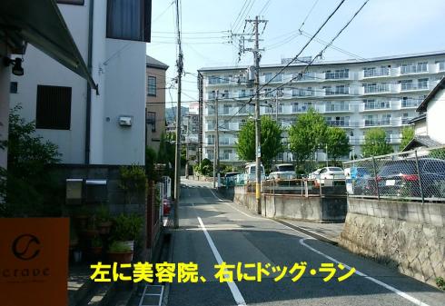 ドッグラン前