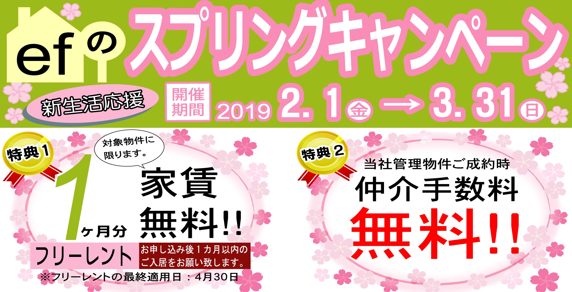 2019スプリングキャンペーンHP用